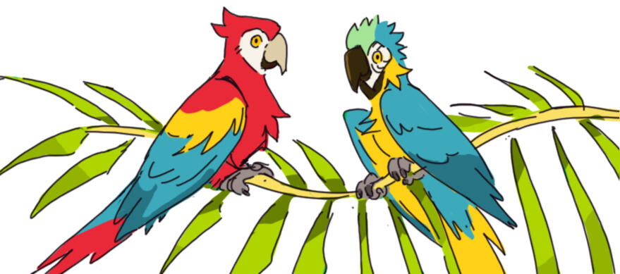 20$ (10$ per fullbody)